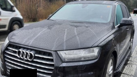 audi pčr